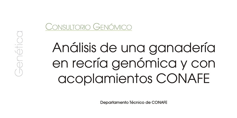 Anlisis de una ganadera en recra genmica y con acoplamientos CONAFE