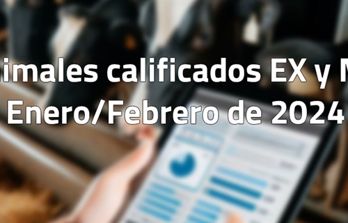 Animales calificados EX y MB en enero y febrero de 2024