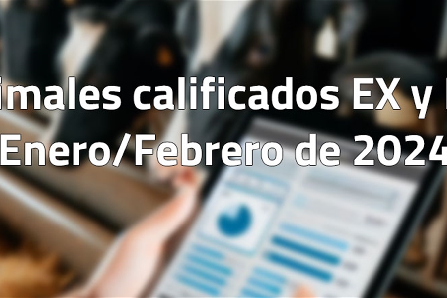 Animales calificados EX y MB en enero y febrero de 2024