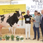 Marquet Paradis Unstopabull, Vaca Gran Campeona de Catalua 2024