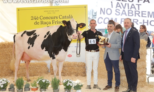 Marquet Paradis Unstopabull, Vaca Gran Campeona de Catalua 2024