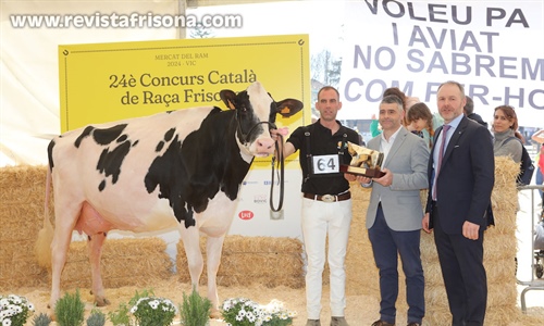Marquet Paradis Unstopabull, Vaca Gran Campeona de Catalua 2024