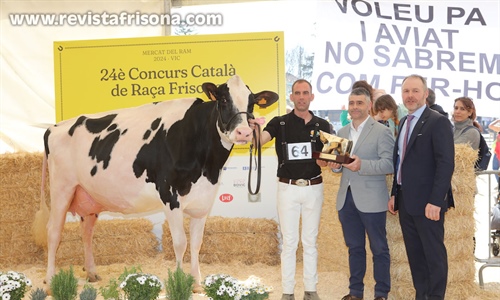 Marquet Paradis Unstopabull, Vaca Gran Campeona de Catalua 2024