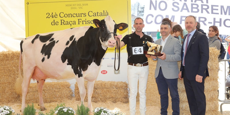 Marquet Paradis Unstopabull, Vaca Gran Campeona de Catalua 2024