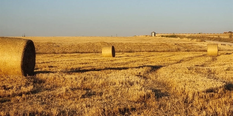 Se aprueba el convenio entre ENESA y Agroseguro para la ejecucin de los planes de seguros agrarios combinados en 2024