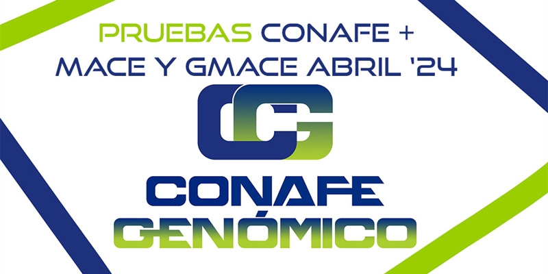 Actualizacin de pruebas genmicas de Machos: CONAFE + MACE y GMACE Abril 2024