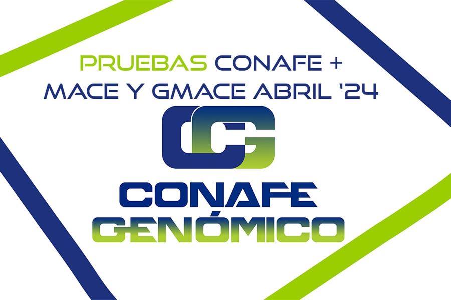 Actualizacin de pruebas genmicas de Machos: CONAFE + MACE y GMACE...