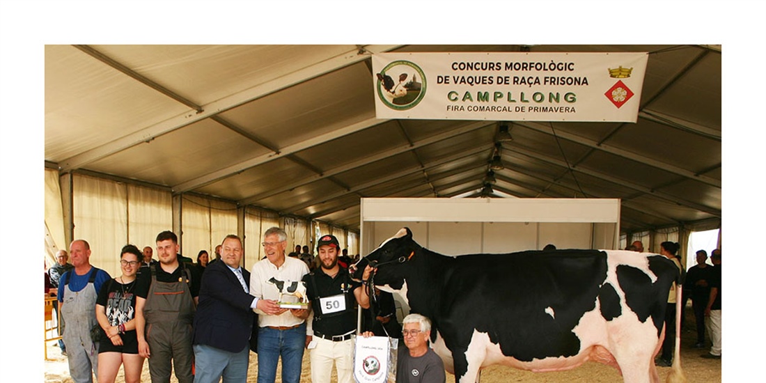 Soca 65 Haniko (Can Soca), Vaca Gran Campeona de Campllong 2024