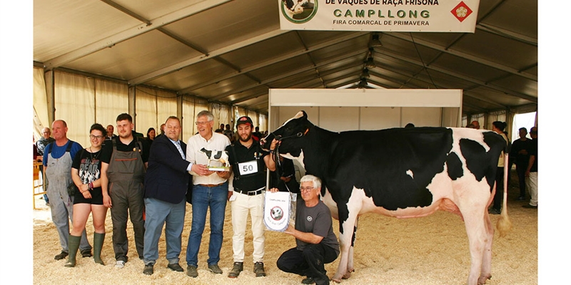 Soca 65 Haniko (Can Soca), Vaca Gran Campeona de Campllong 2024