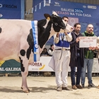 Rey 814 Beemer Yuri (Rey de Miotelo), Vaca Gran Campeona de MOEXMU 2024