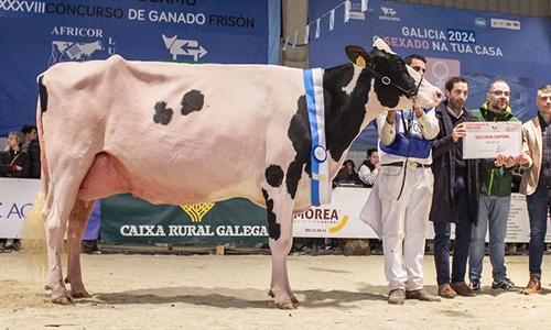 Rey 814 Beemer Yuri (Rey de Miotelo), Vaca Gran Campeona de MOEXMU 2024