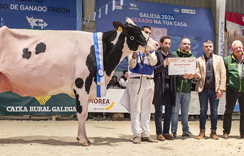 Rey 814 Beemer Yuri (Rey de Mi�otelo), Vaca Gran Campeona de MOEXMU 2024