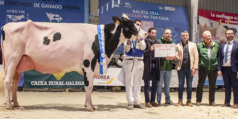 Rey 814 Beemer Yuri (Rey de Miotelo), Vaca Gran Campeona de MOEXMU 2024