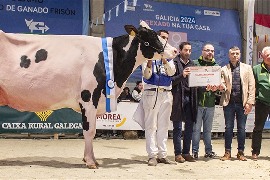 Rey 814 Beemer Yuri (Rey de Miotelo), Vaca Gran Campeona de MOEXMU 2024