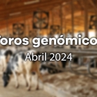 Nuevos toros genmicos con Prueba Oficial: Evaluacin genmica de abril 2024