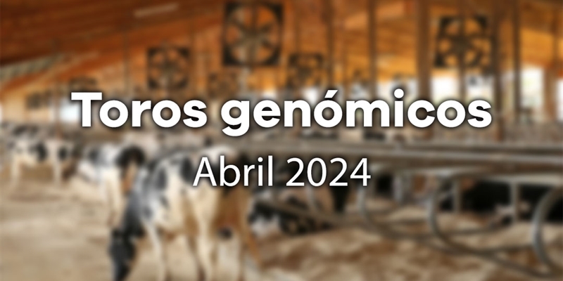 Nuevos toros genmicos con Prueba Oficial: Evaluacin genmica de abril 2024