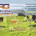 Aprovecha todas las ventajas del servicio de Recra Genmica de CONAFE en 2025