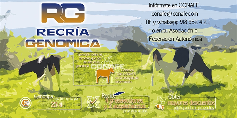 Aprovecha todas las ventajas del servicio de Recra Genmica de CONAFE en 2025