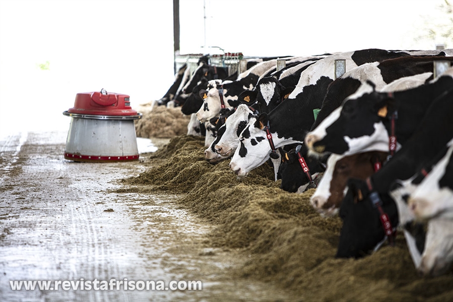 Reducir el consumo de carne y lcteos disminuye las emisiones de metano?