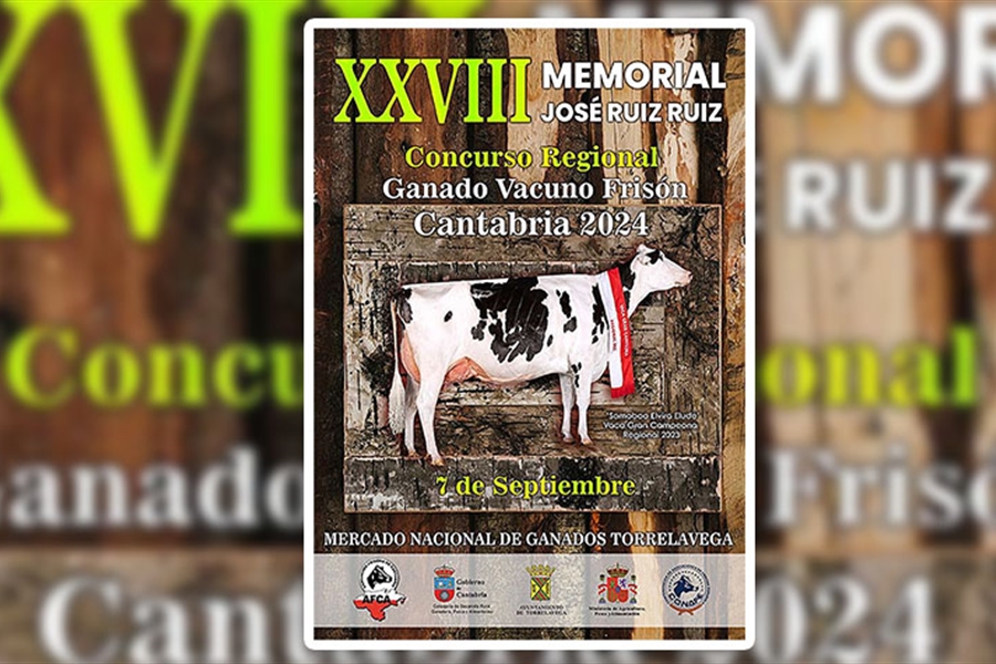 XXVIII Concurso Regional de Ganado Vacuno Frisn Cantabria 2024