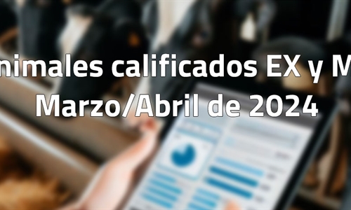 Animales calificados EX y MB en marzo y abril de 2024