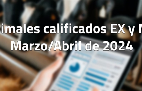 Animales calificados EX y MB en marzo y abril de 2024