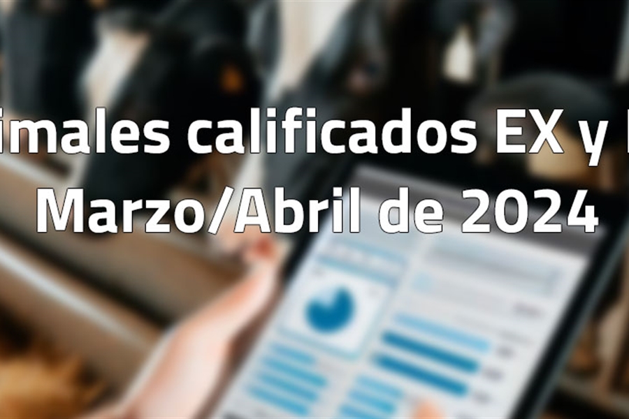 Animales calificados EX y MB en marzo y abril de 2024