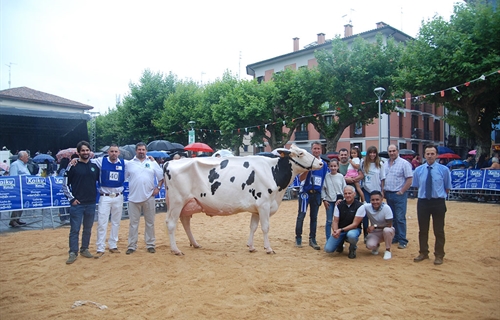 23� Concurso de Ganado Fris�n de Ir�n 2024