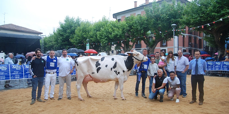 23 Concurso de Ganado Frisn de Irn 2024