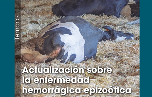 Actualizacin sobre la enfermedad hemorrgica epizotica