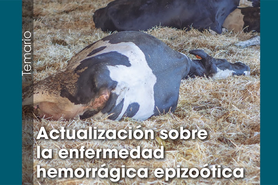 Actualizacin sobre la enfermedad hemorrgica epizotica