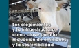 Los alojamientos y la infraestructura, como clave para la reduccin de emisiones y la sostenibilidad