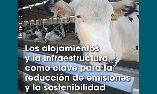 Los alojamientos y la infraestructura, como clave para la reduccin de...