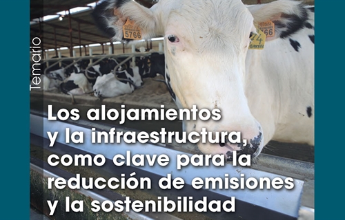 Los alojamientos y la infraestructura, como clave para la reduccin de...