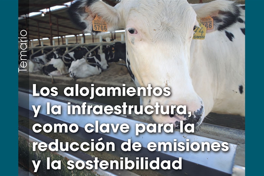 Los alojamientos y la infraestructura, como clave para la reduccin de...