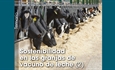Sostenibilidad en las granjas de vacuno de leche (2)