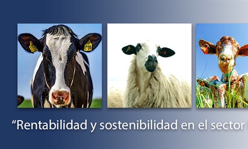 Finaliza el curso sobre rentabilidad y sostenibilidad en el sector...