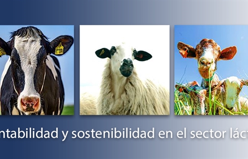 Finaliza el curso sobre rentabilidad y sostenibilidad en el sector...