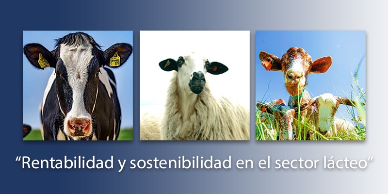 Finaliza el curso sobre rentabilidad y sostenibilidad en el sector lcteo organizado por el MAPA