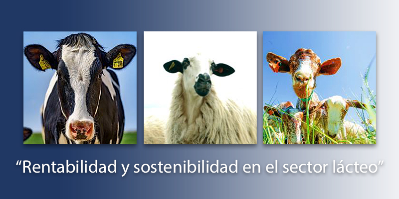 Finaliza el curso sobre rentabilidad y sostenibilidad en el sector...
