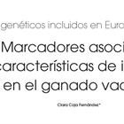 Test genticos incluidos en EurogGMD: 3. Marcadores asociados a caractersticas de inters en el ganado vacuno