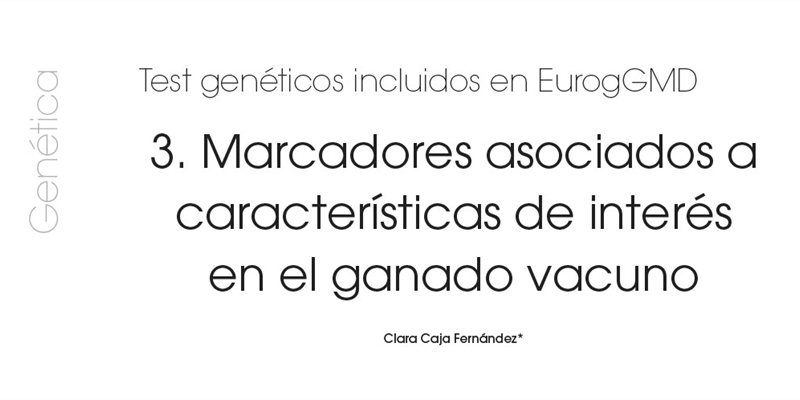 Test genticos incluidos en EurogGMD: 3. Marcadores asociados a caractersticas de inters en el ganado vacuno
