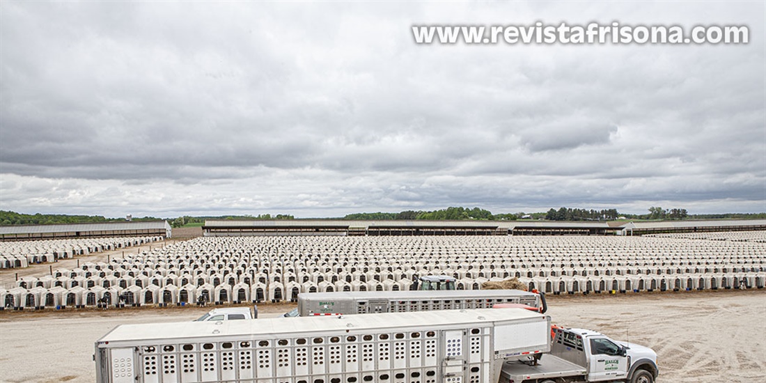 Bienvenidos a Dairyland