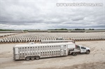 Bienvenidos a Dairyland