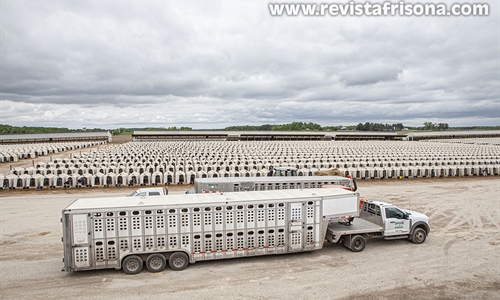Bienvenidos a Dairyland