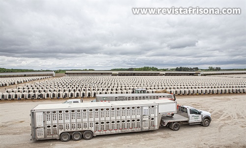 Bienvenidos a Dairyland
