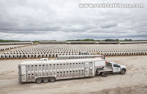 Bienvenidos a Dairyland