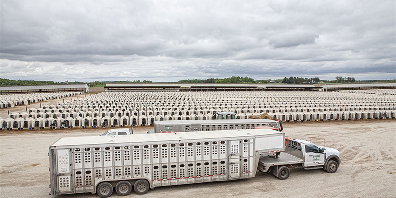 Bienvenidos a Dairyland