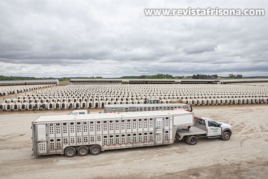 Bienvenidos a Dairyland