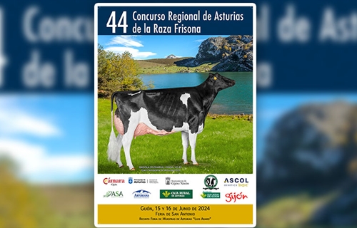 44 Concurso Regional de Asturias de la Raza Frisona 2024